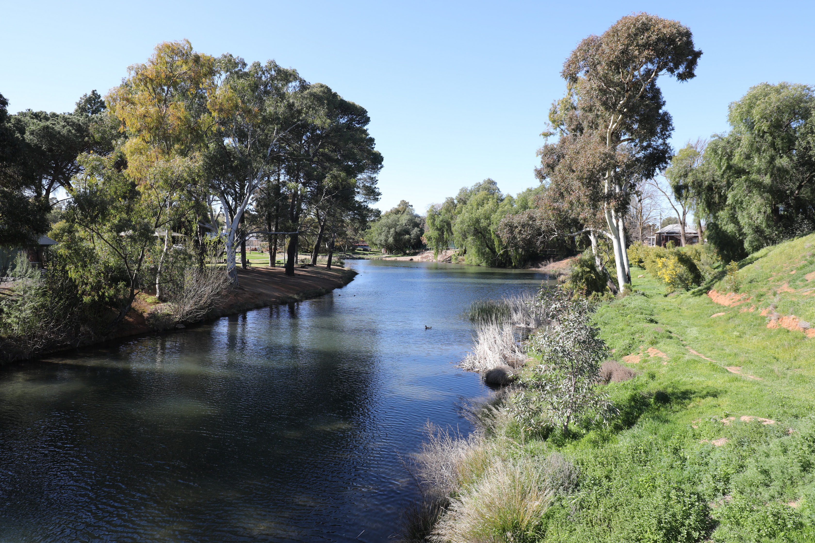 2019 08 31 09 44 29 Canon EOS 5D Mark IV 0028